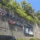 남구-078 | 조산아 호흡곤란 부산성모병원 신생아중환자실 니큐 NICU 입원 후기