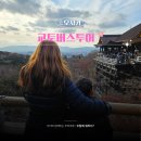 교토 일일 버스투어 추천 일정! 오사카 출발 코스 후기