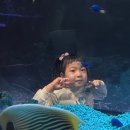 광교로 | 아쿠아플라넷 광교로 주말 나들이 주차, 할인