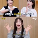 딩고 이미지