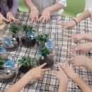 쌍류초등학교 이미지