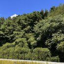 어린이독서논술(초등1~3학년)/강좌번호24 | 부산 덕천도서관 방문 후기 아이와 가기 좋은 곳 (주차, 프로그램 정보)