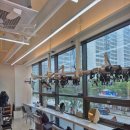 미쁘다헤어 이미지