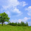 그린목장 이미지