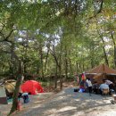 호수산장 관광농원 이미지