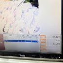 활어시장회도매센타 이미지