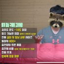 힐링캠프A | [대구근교캠핑|애견동반캠핑장]11.16-17 금오산힐링캠프 후기(베이스 침낭 필파워1000후기)