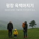 바빈스커피평창하리점 | 평창 육백마지기 31개월 16개월 연년생 남매와 연년생 남매와 가볼만한 자연친화 여행지 추천(전기차 충전)