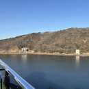 야자수정원 이미지