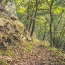 호랑산 둘레길 이미지