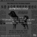 BALBARI(발바리) 이미지