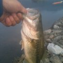 출포리 | [재우리그] 재우리그 사용후기 글 입니다 [본문스크랩] 대호만 재우리그...