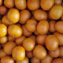 강덕농장 이미지