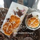 노벨라사 이미지