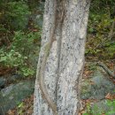 갈산천 구곡길 이미지