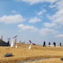 아산시신정호관리사무소 이미지