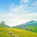 증평스포츠 | 증평벨포레리조트 모토아레나, 짜릿했던 카트 체험 후기