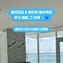 보다스테이 더펜트 이미지