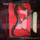 원정낚시.. 그리고 신세계.. 이미지