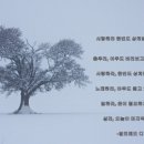 예진이사익스프레스 이미지