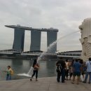 싱가폴 머라이언 공원, 차이나타운 - 민경은 LG옵티머스 촬영 이미지