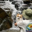 용동농장 이미지