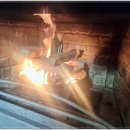 숲속그린펜션 이미지