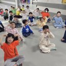 멘토태권도 이미지