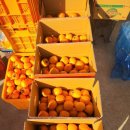 오두리농장 이미지