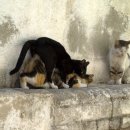 검단한의원 이미지