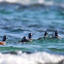 오리여행 이미지