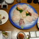 싱싱魚 이미지