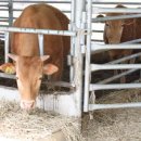 탑골농장 이미지