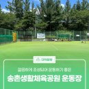 송촌생활체육공원(1) | 깔끔하게 조성되어 운동하기 좋은 &#39;송촌생활체육공원 운동장&#39;