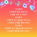 천주의 성모마리아 대축일미사(23.01.01) 이미지