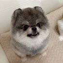 그루비멍 이미지