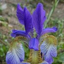 운심농장 이미지