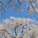 순·남 | [아기스냅추천] 아기 사랑이 담뿍 담긴 순스냅 친구돈내산 후기(feat. 내돈내산..?)