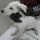 세천로4길 이미지