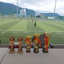 제9회 강원경찰청장배 동호인 축구대회(2024.06.15) 이미지