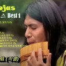 잉카음악 레오로자스 베스트1집,Leo Rojas, 마음을 안정시키는 팬풀릇 연주곡 모음 이미지