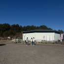 금등첨화 이미지