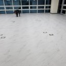 천국인테리어천국타일