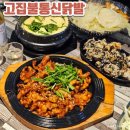 고집불통 | 둔산동 닭발, 시그니처 숯불닭발 대박! "고집불통신닭발" 후기