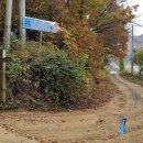 조중회 선생 묘 이미지