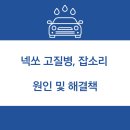 현대오너서비스 | 넥쏘 고질병 및 잡소리 종류, 해결책과 오너들의 불만 총정리