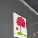 국민세탁빨래방 이미지