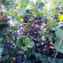 부경농장 이미지