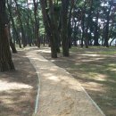 송림톱밥 이미지