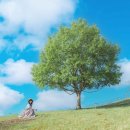 안내목장2 이미지